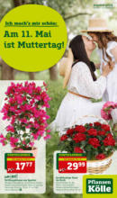Pflanzen-Kölle: Muttertag