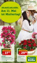 Pflanzen-Kölle Gartencenter Pflanzen-Kölle: Muttertag - bis 11.05.2025