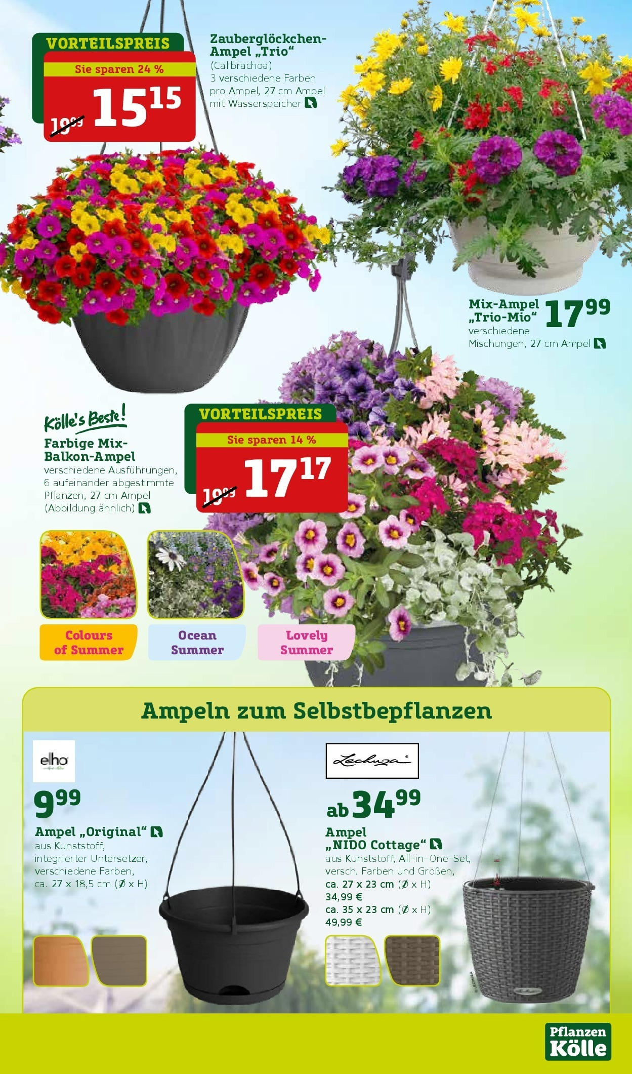 Pflanzen-Kölle Prospekt 	 (ab 05.05.2025) zum Blättern | Seite: 7 | Produkte: Gewicht, Grill, Orangen, Wein
