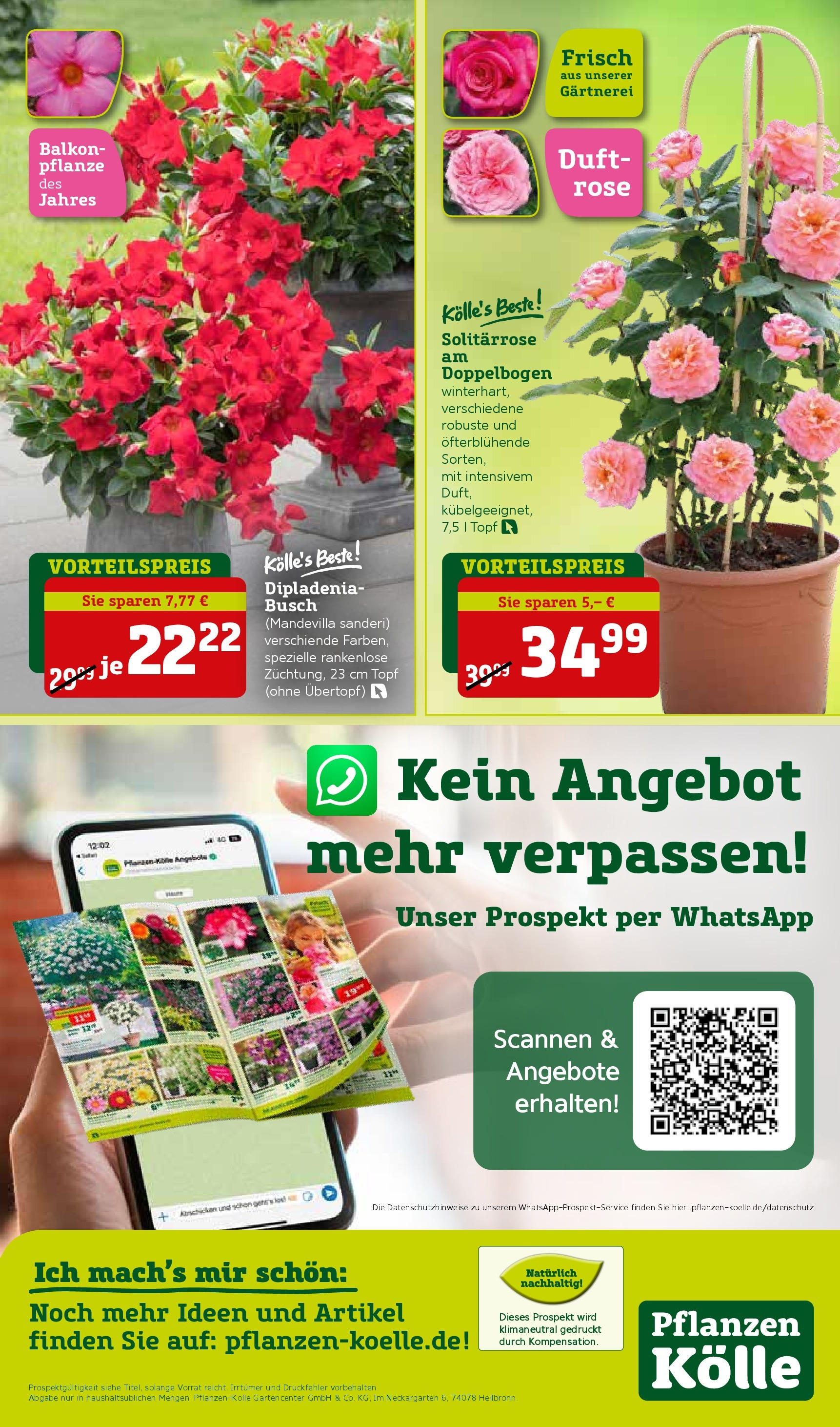 Pflanzen-Kölle Prospekt 	 (ab 05.05.2025) zum Blättern | Seite: 16