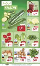 Combi - Angebote 05.05.-10.05.2025