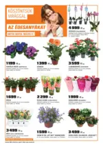 OBI: OBI újság érvényessége 2025.05.11-ig - 2025.05.11 napig