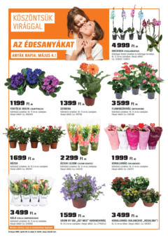 OBI akciós ujság - amely érvényes a következő dátumtól: 29.04.2025 | Oldal: 1 | Termékek: Orchidea, Kaspó