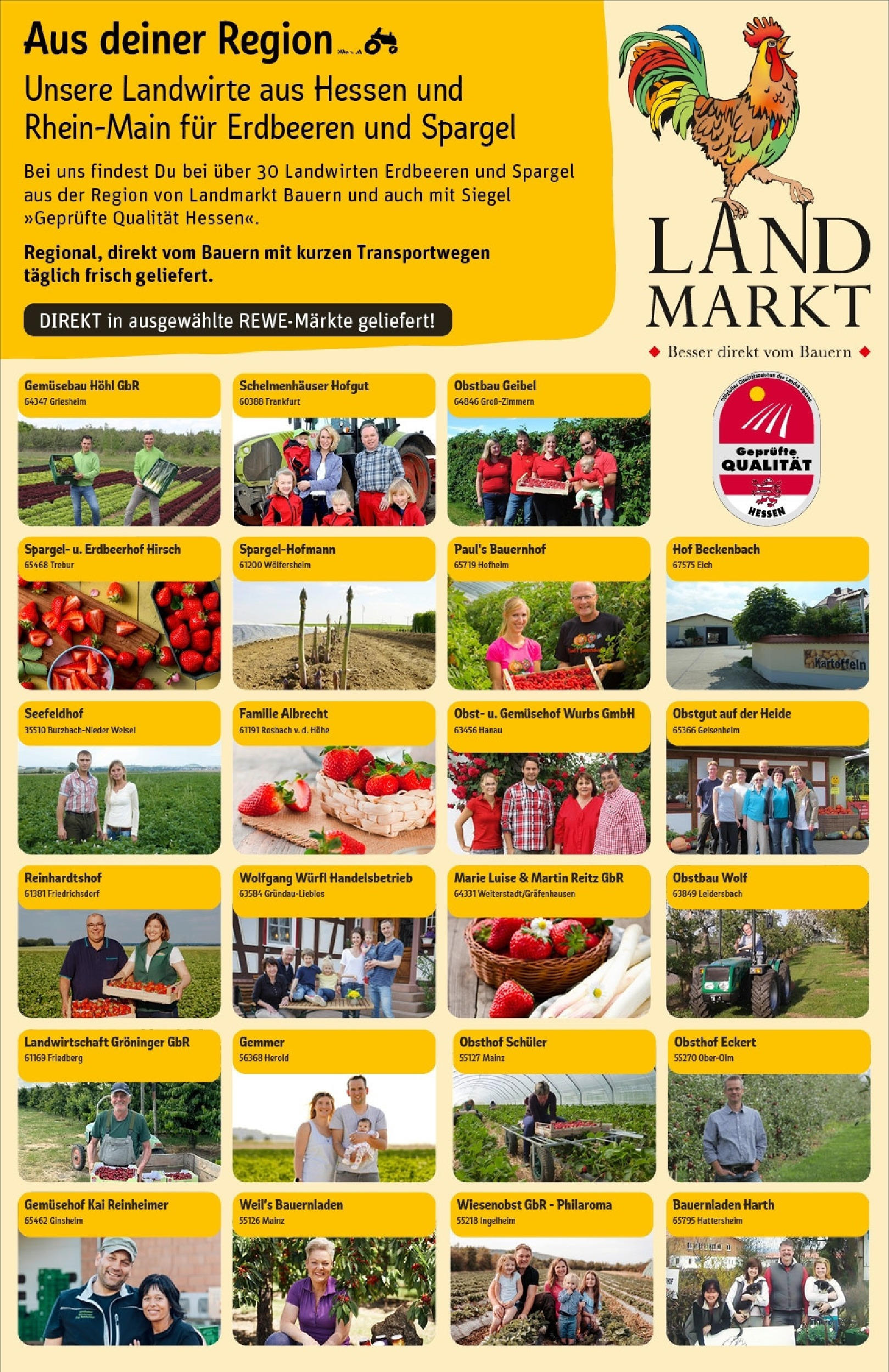 Rewe - Rewe: Wochenangebote (ab 27.04.2025) zum Blättern » Angebote | Seite: 32 | Produkte: Spargel, Kartoffeln, Obst, Erdbeeren