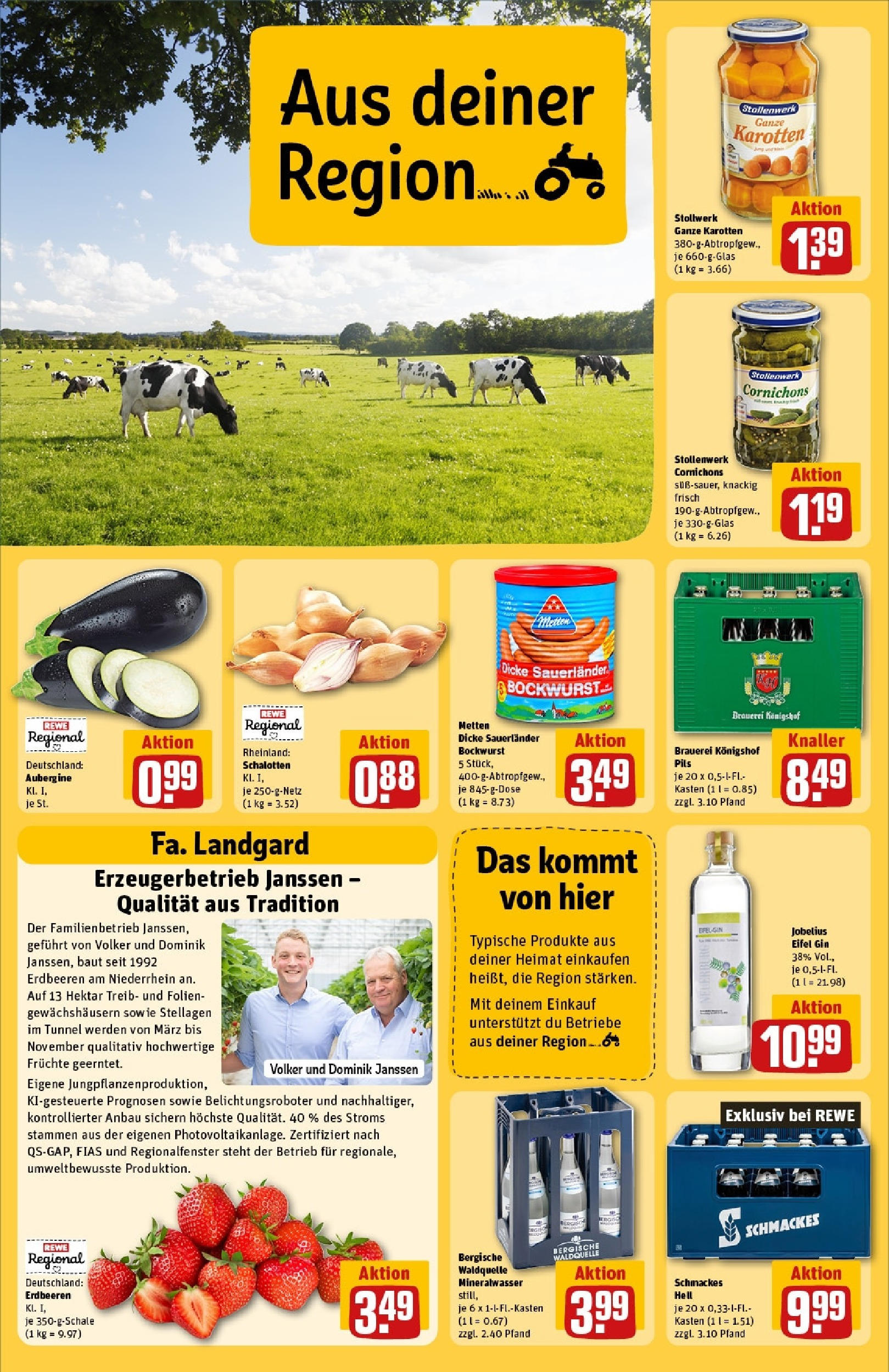 Rewe - Rewe: Wochenangebote (ab 27.04.2025) zum Blättern » Angebote | Seite: 26 | Produkte: Bockwurst, Dicke sauerlander bockwurst, Aubergine, Gin