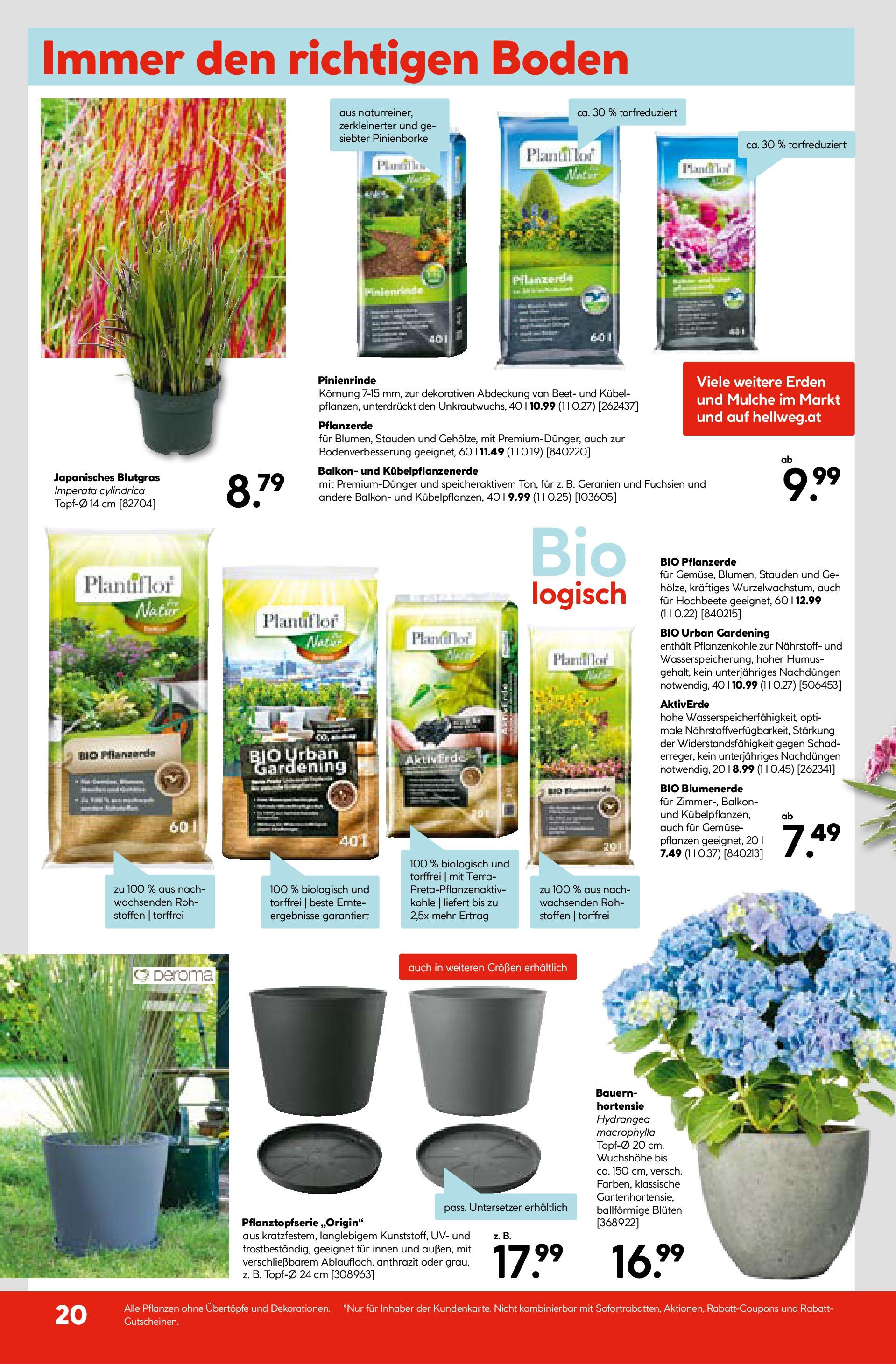 HELLWEG Flugblatt (08.05.2025) || Aktuelle Angebote | Seite: 22 | Produkte: Gemüse HELLWEG Flugblatt von 08.05.2025 - Aktuelle Angebote | Seite: 22 | Produkte: Gemüse