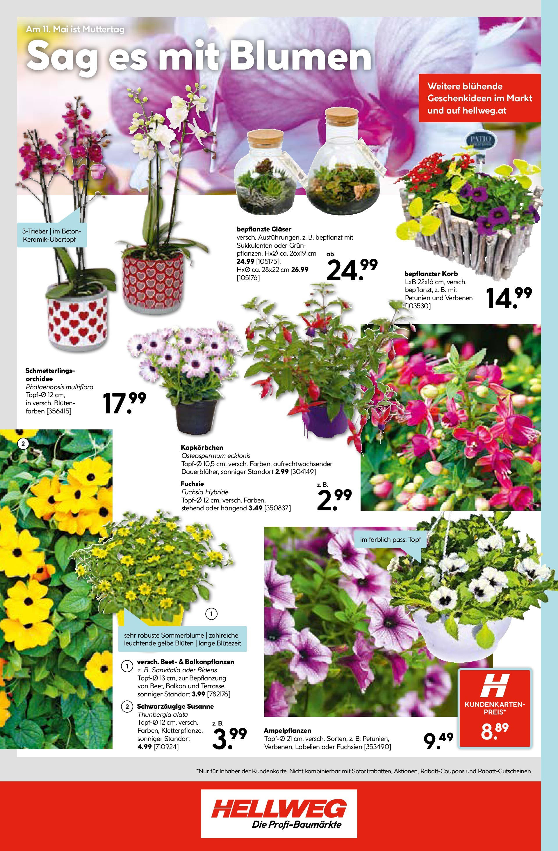 HELLWEG Flugblatt (08.05.2025) || Aktuelle Angebote | Seite: 24 | Produkte: Korb HELLWEG Flugblatt von 08.05.2025 - Aktuelle Angebote | Seite: 24 | Produkte: Korb