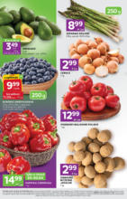 Oszczędzaj teraz dzięki naszym ofertom