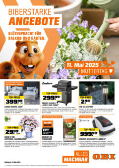 Vorschau von dem Prospekt - OBI Flugblatt gültig ab 30.04.2025