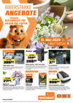 OBI Biberstarke Angebote - bis 04.05.2025