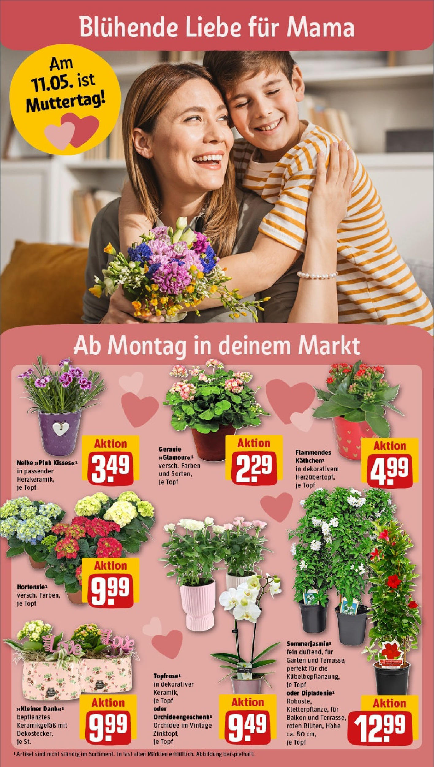Rewe - Rewe: Wochenangebote (ab 04.05.2025) zum Blättern » Angebote | Seite: 6 | Produkte: Orchidee Rewe - Rewe: Wochenangebote (ab 04.05.2025) zum Blättern » Angebote | Seite: 6 | Produkte: Orchidee