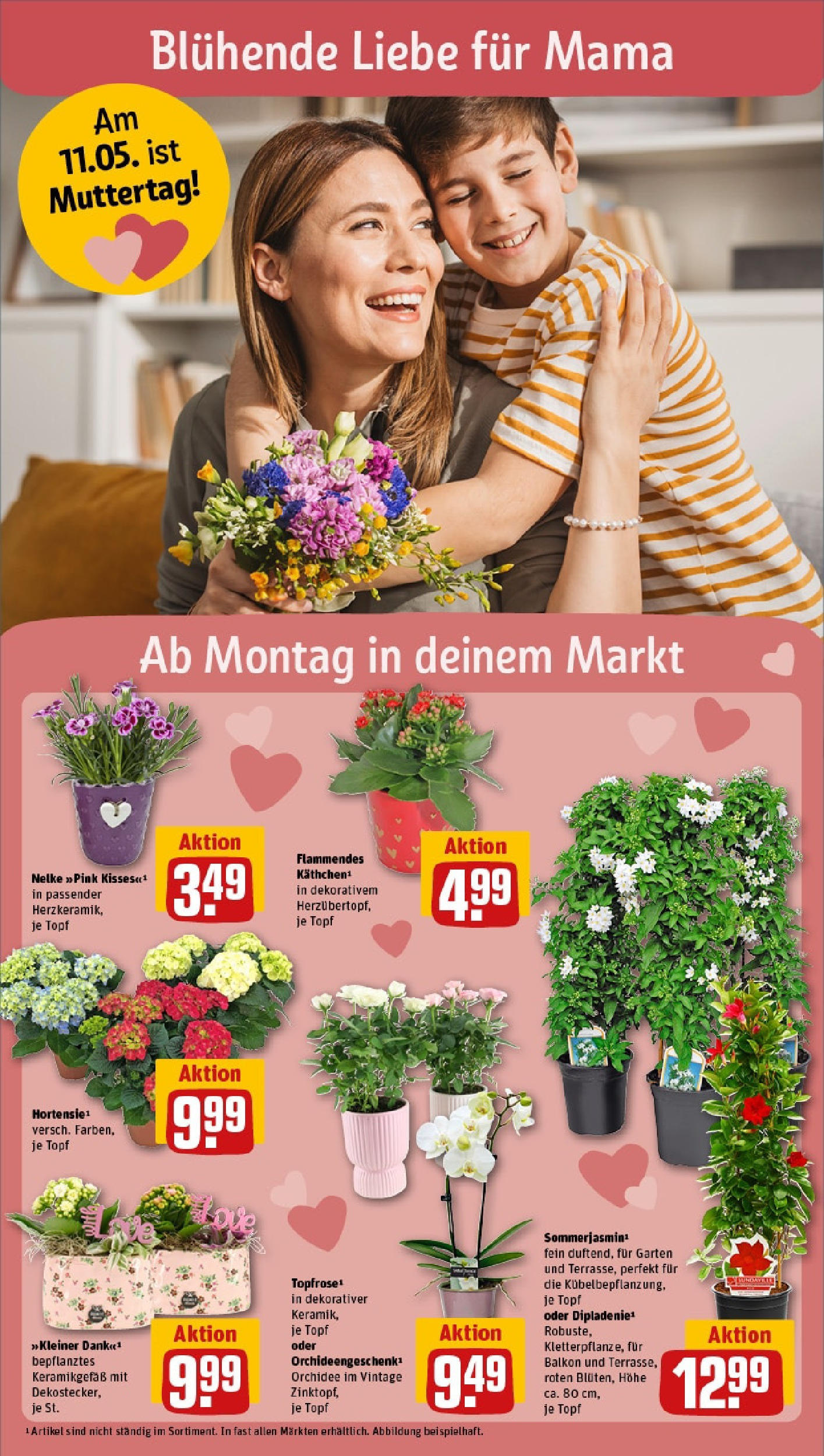 Rewe - Rewe: Wochenangebote (ab 04.05.2025) zum Blättern » Angebote | Seite: 16 | Produkte: Orchidee Rewe - Rewe: Wochenangebote (ab 04.05.2025) zum Blättern » Angebote | Seite: 16 | Produkte: Orchidee