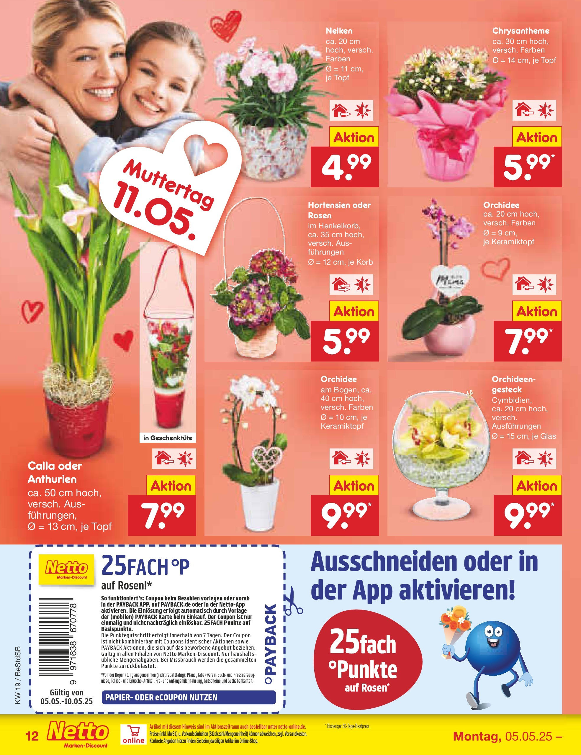 Netto Marken-Discount - Netto: Wochenangebote (ab 04.05.2025) » Angebote | Seite: 14 | Produkte: Orchidee, Korb Netto Marken-Discount - Netto: Wochenangebote (ab 04.05.2025) » Angebote | Seite: 14 | Produkte: Orchidee, Korb