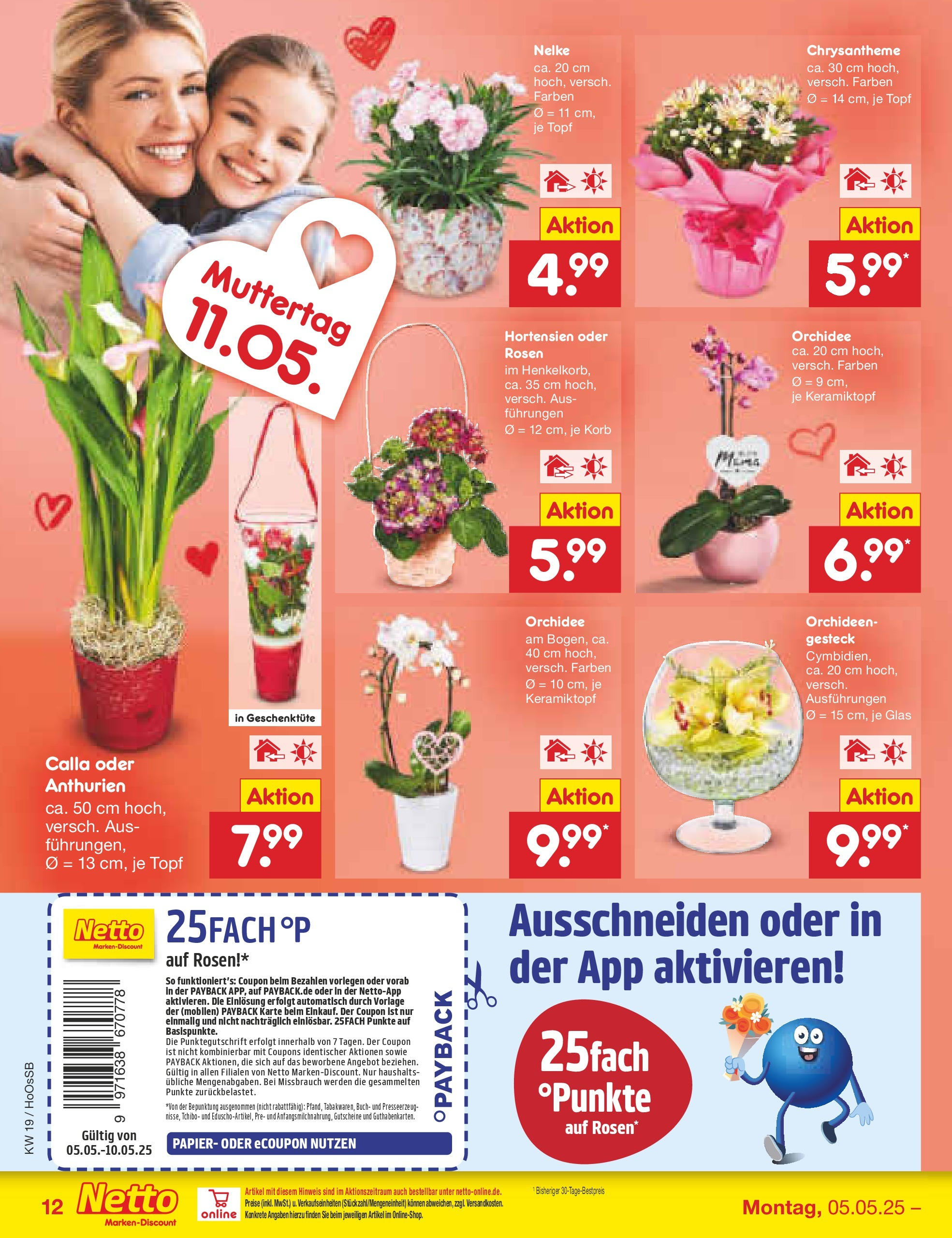Netto Marken-Discount - Netto: Wochenangebote (ab 05.05.2025) » Angebote | Seite: 14 | Produkte: Orchidee, Korb Netto Marken-Discount - Netto: Wochenangebote (ab 05.05.2025) » Angebote | Seite: 14 | Produkte: Orchidee, Korb
