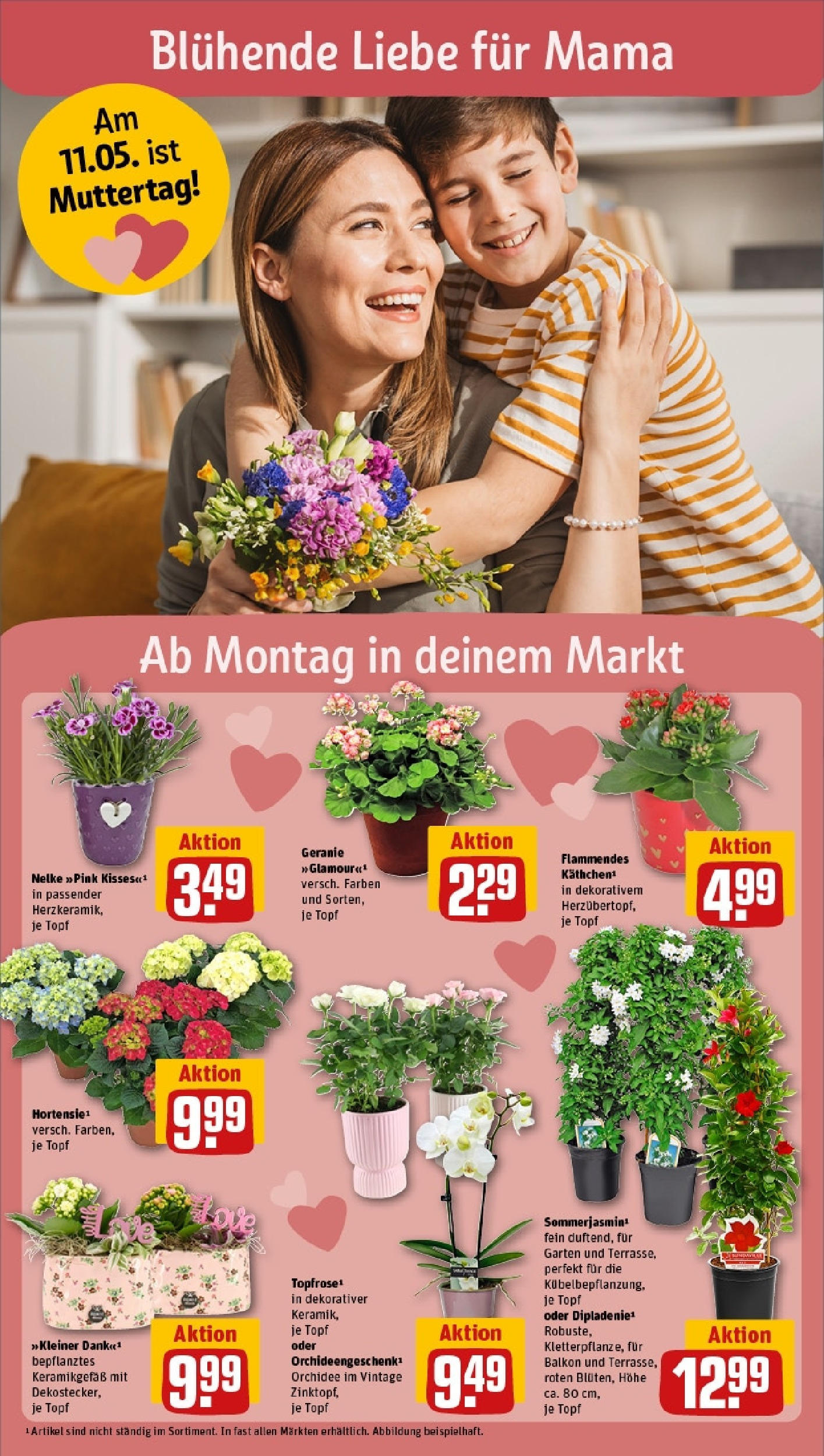 Rewe - Rewe: Wochenangebote (ab 04.05.2025) zum Blättern » Angebote | Seite: 6 | Produkte: Orchidee