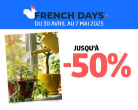 French days
