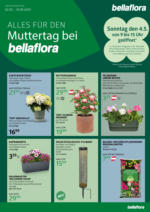 bellaflora Innsbruck bellaflora: Muttertag-Aktion - bis 10.05.2025