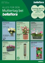 bellaflora: Muttertag-Aktion