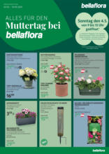 bellaflora: Muttertag-Aktion