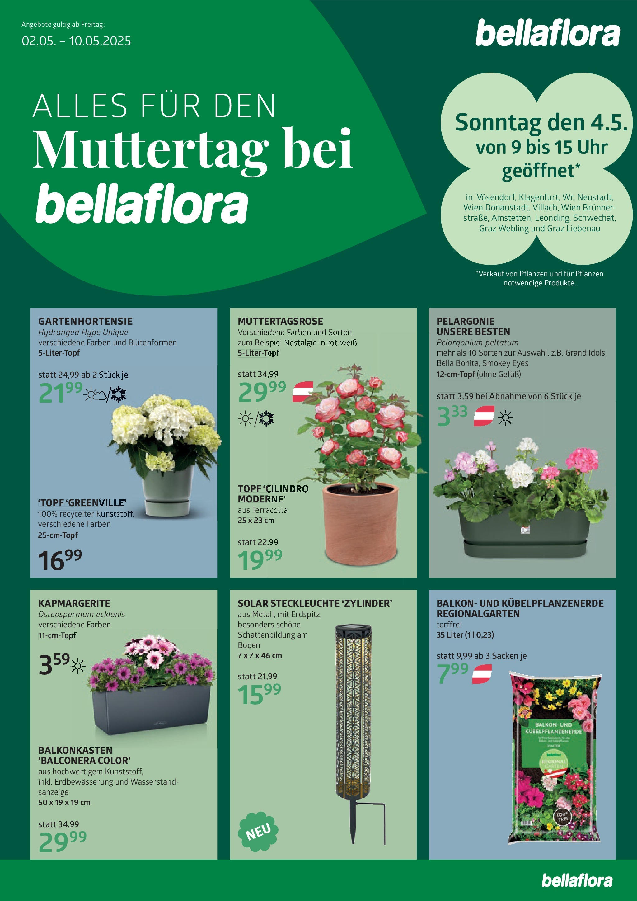 bellaflora Muttertag-Aktion von 02.05.2025 - Aktuelle Angebote | Seite: 1 | Produkte: Uhr