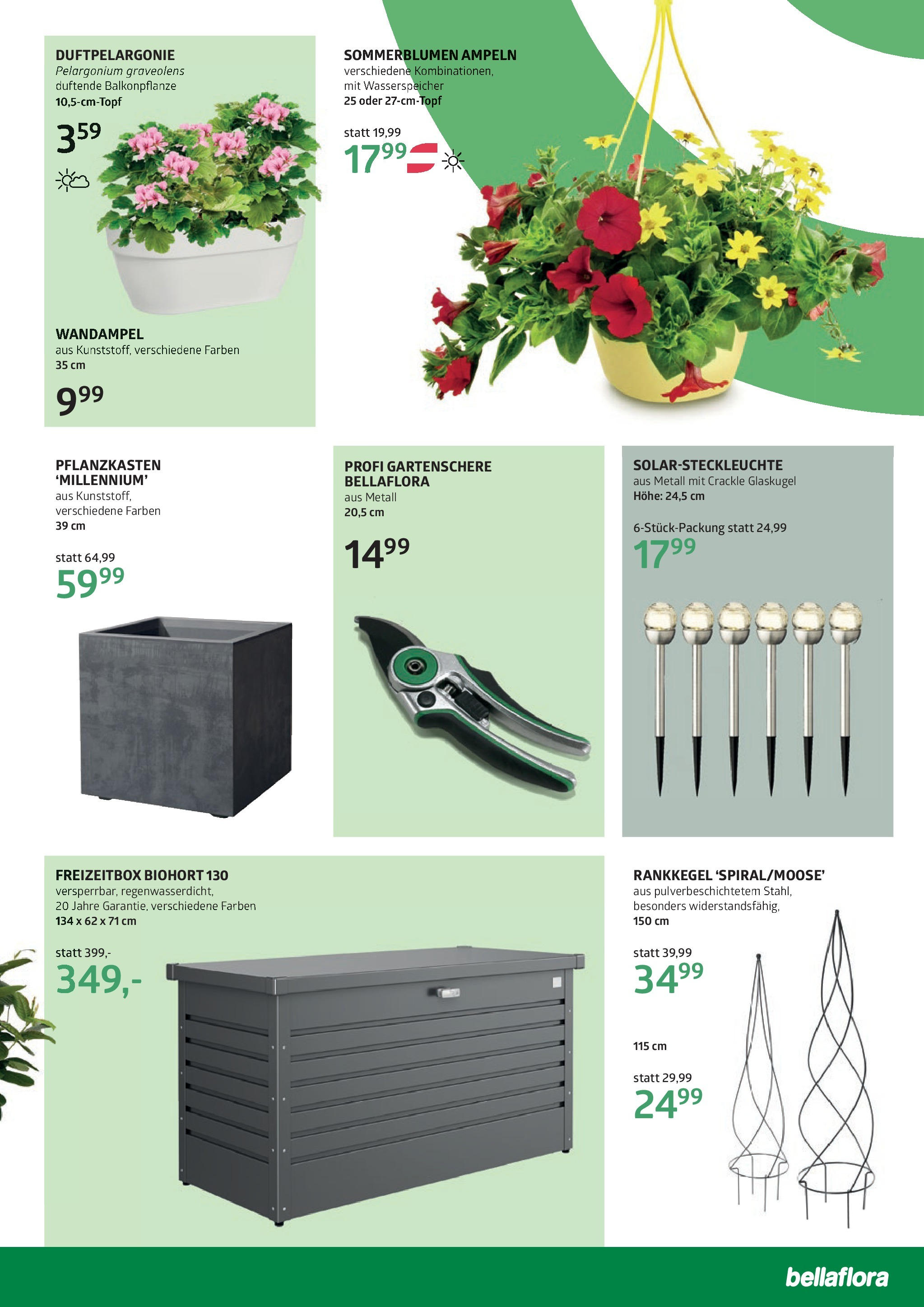 bellaflora Muttertag-Aktion von 02.05.2025 - Aktuelle Angebote | Seite: 3