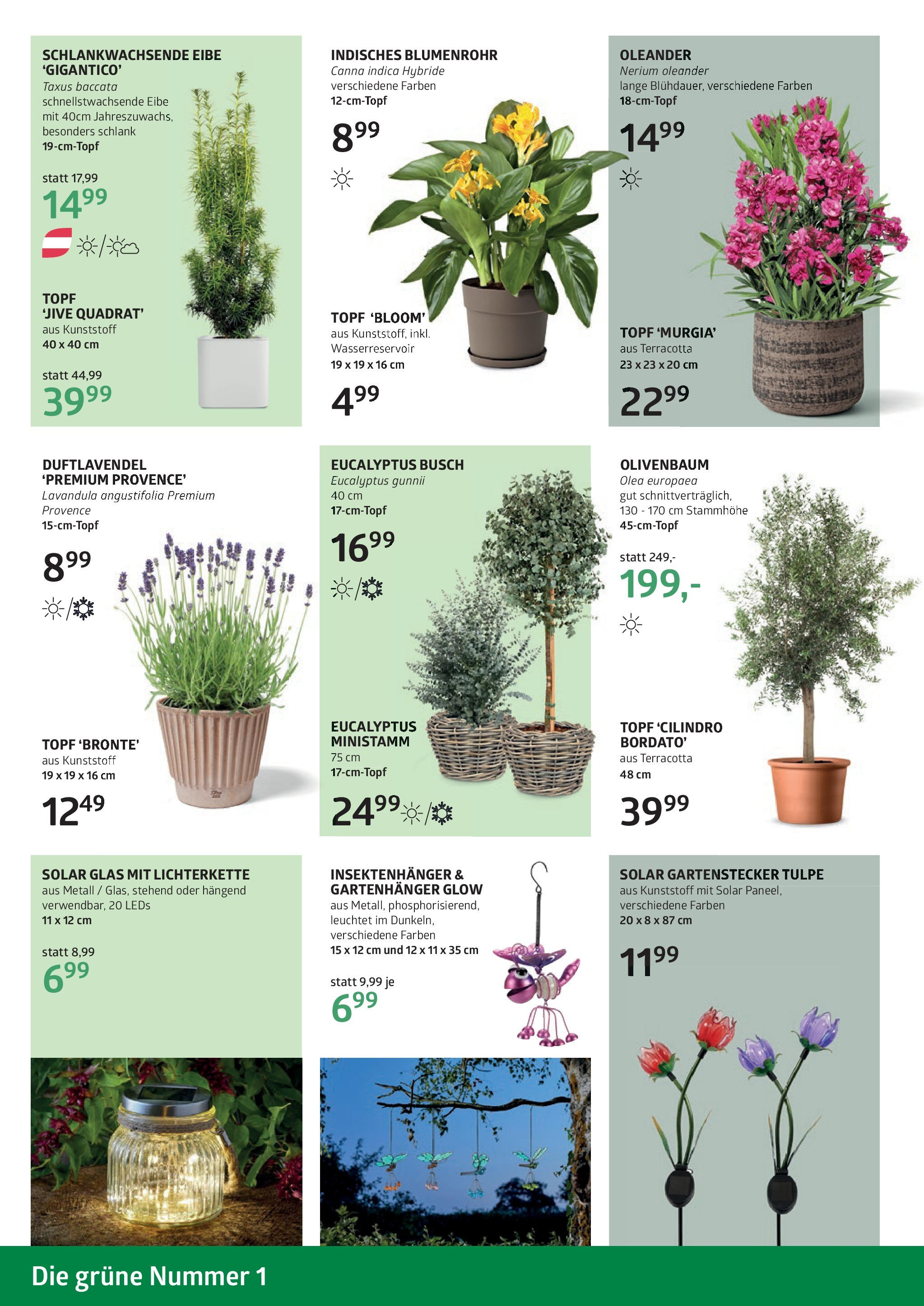 bellaflora Muttertag-Aktion von 02.05.2025 - Aktuelle Angebote | Seite: 4