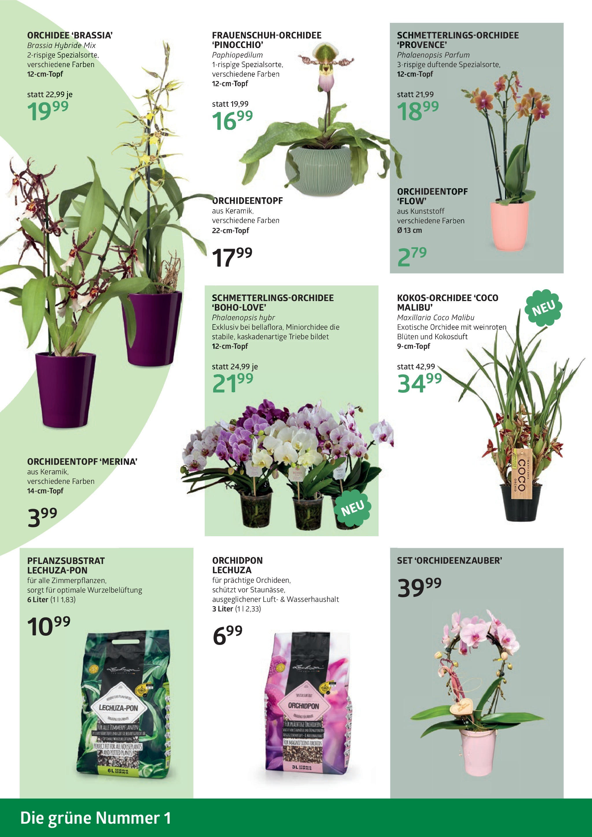bellaflora Muttertag-Aktion von 02.05.2025 - Aktuelle Angebote | Seite: 8 | Produkte: Parfüm