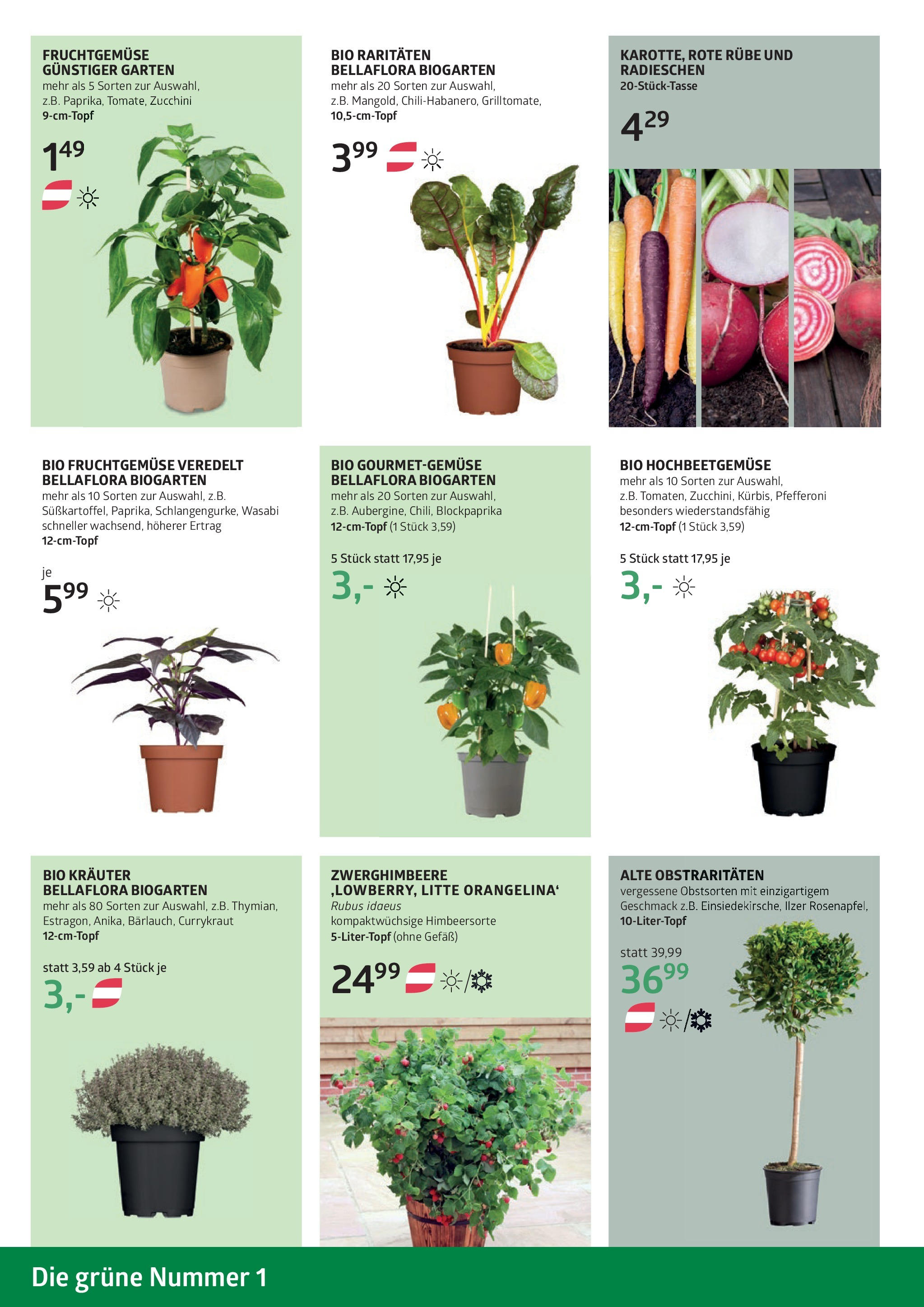 bellaflora Muttertag-Aktion von 02.05.2025 - Aktuelle Angebote | Seite: 10