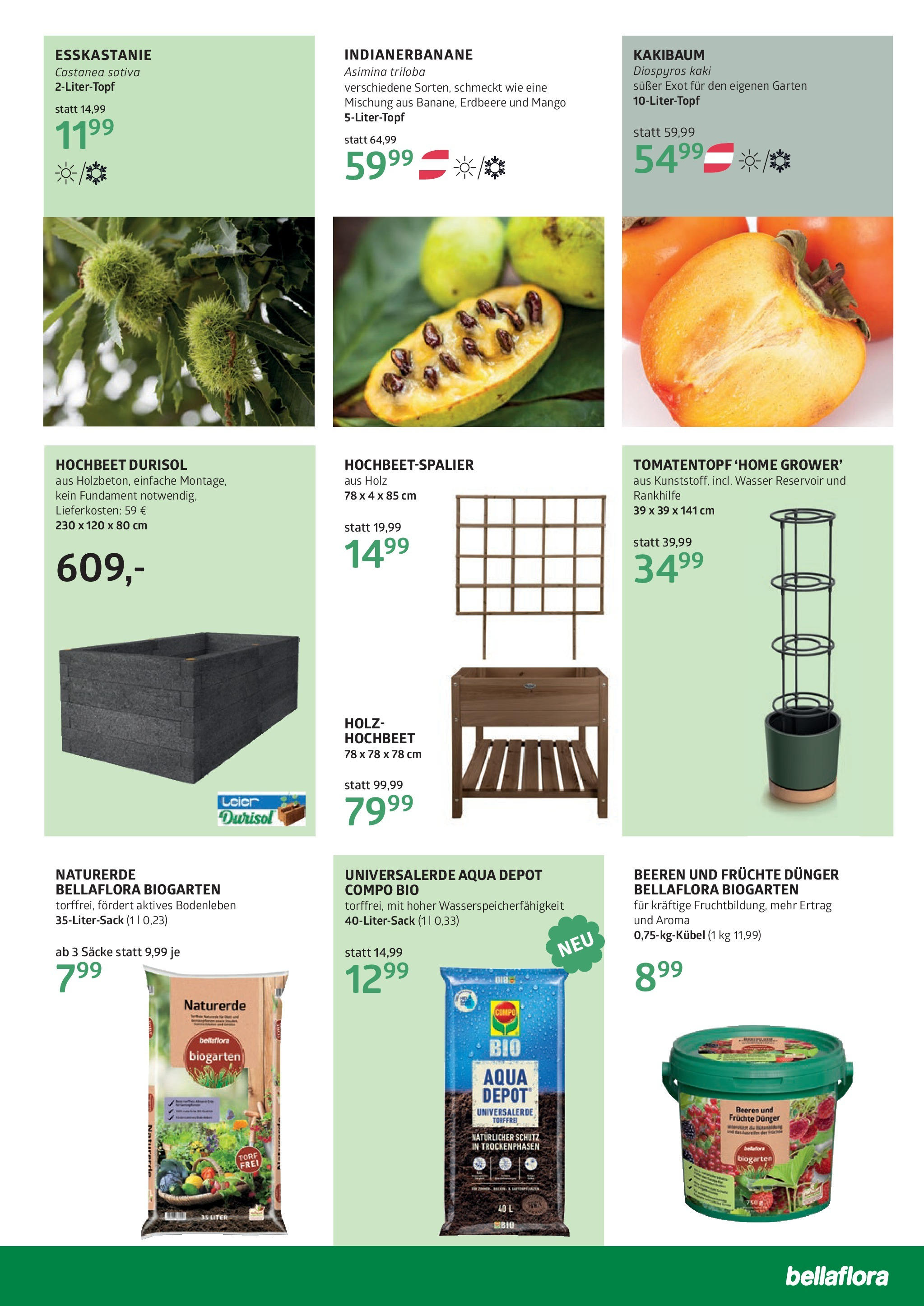 bellaflora Muttertag-Aktion von 02.05.2025 - Aktuelle Angebote | Seite: 11 | Produkte: Wasser, Mango, Kaki