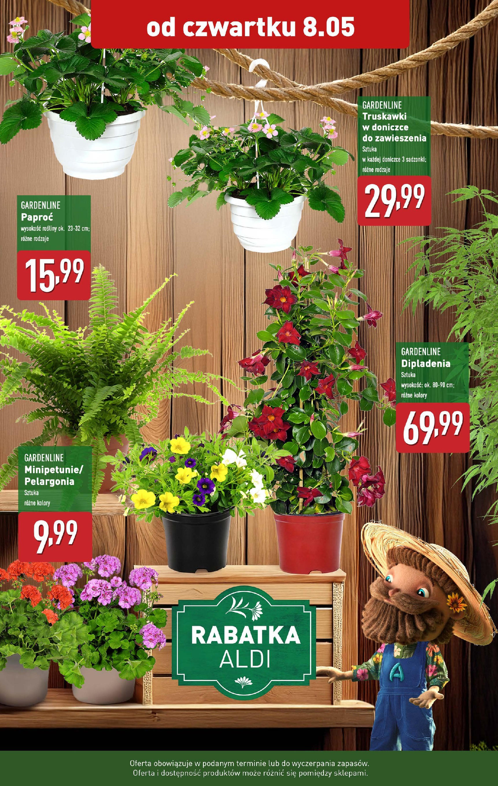 Aldi Gazetka - Promocja Rośliny Farmer od 08.05.2025 - Ulotka PDF, promocje | Strona: 2 | Produkty: Paproć, Rosliny, Truskawki