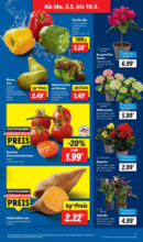 Lidl Lidl: Wochenangebote - bis 10.05.2025
