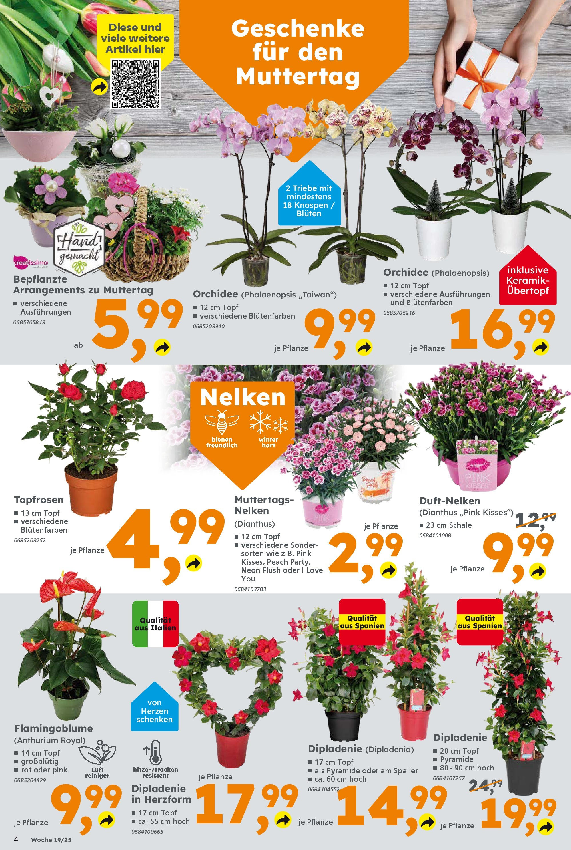 Globus Baumarkt - Globus Baumarkt: Wochenangebote (ab 04.05.2025) zum Blättern | Seite: 4 | Produkte: Luftreiniger, Orchidee Globus Baumarkt - Globus Baumarkt: Wochenangebote (ab 04.05.2025) zum Blättern | Seite: 4 | Produkte: Luftreiniger, Orchidee