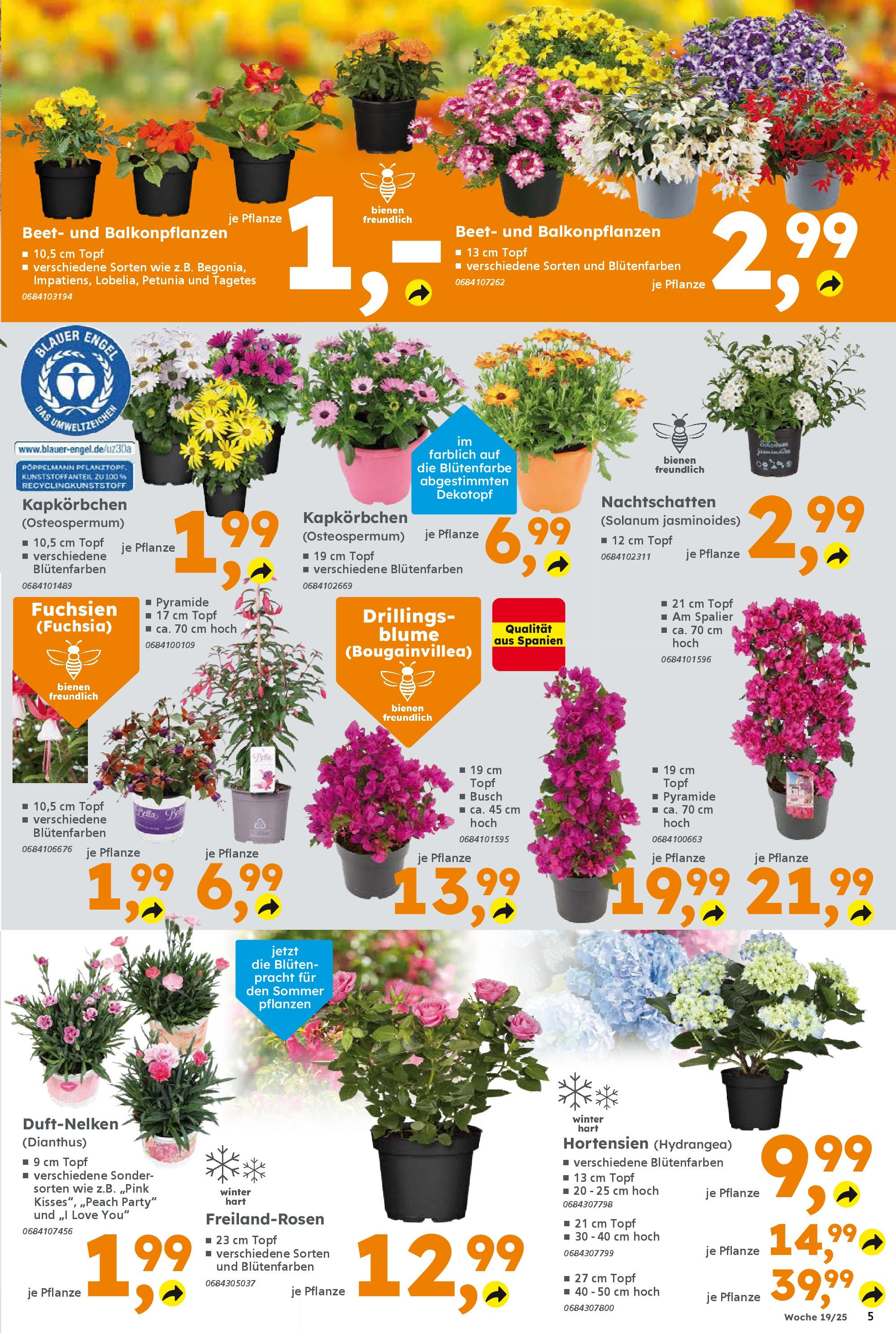 Globus Baumarkt - Globus Baumarkt: Wochenangebote (ab 04.05.2025) zum Blättern | Seite: 5 Globus Baumarkt - Globus Baumarkt: Wochenangebote (ab 04.05.2025) zum Blättern | Seite: 5