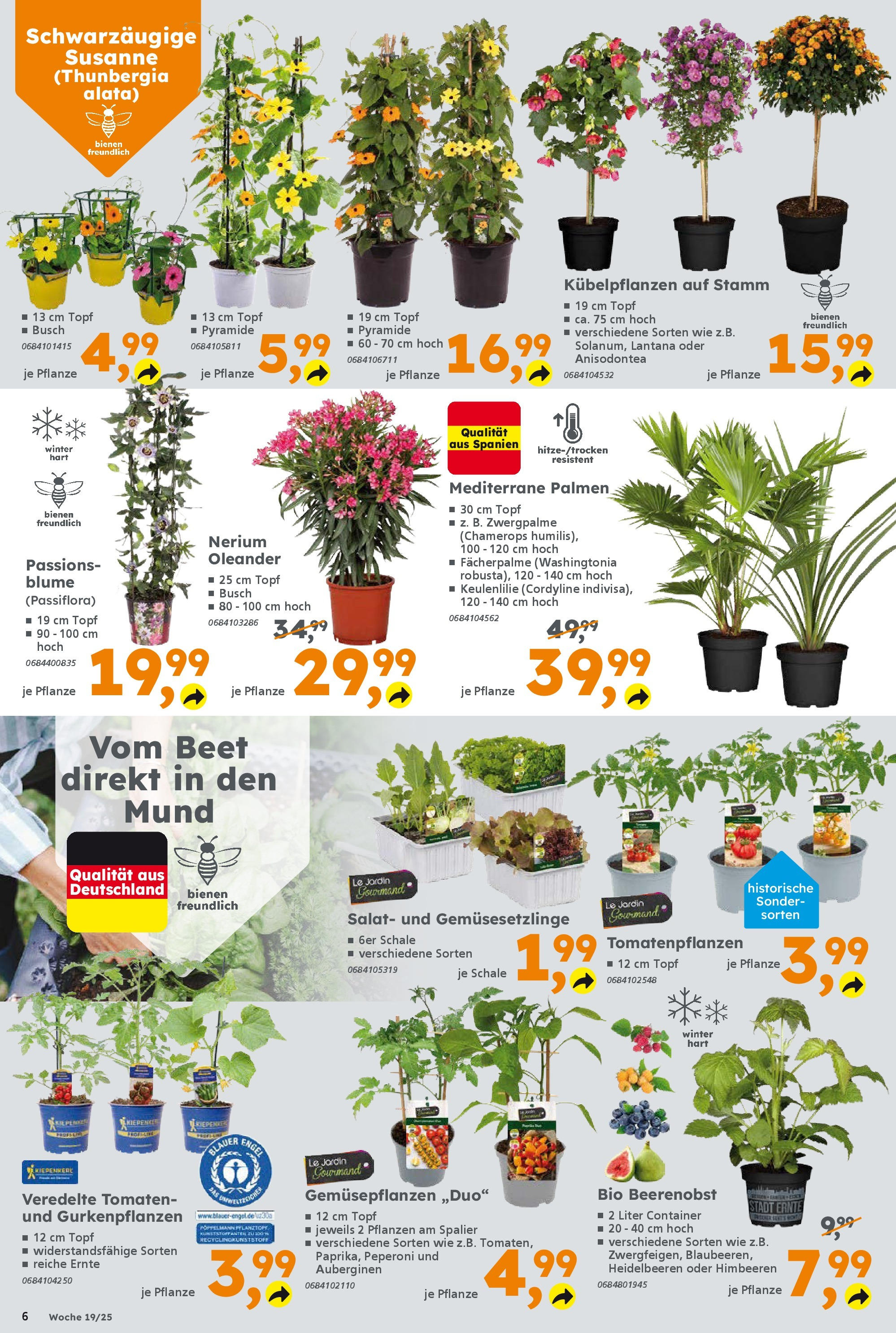 Globus Baumarkt - Globus Baumarkt: Wochenangebote (ab 04.05.2025) zum Blättern | Seite: 6 | Produkte: Himbeeren, Tomaten, Heidelbeeren, Salat Globus Baumarkt - Globus Baumarkt: Wochenangebote (ab 04.05.2025) zum Blättern | Seite: 6 | Produkte: Himbeeren, Tomaten, Heidelbeeren, Salat