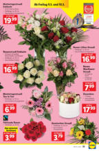 Lidl Österreich Lidl: Flugblatt in deiner Nähe - ab 08.05.2025