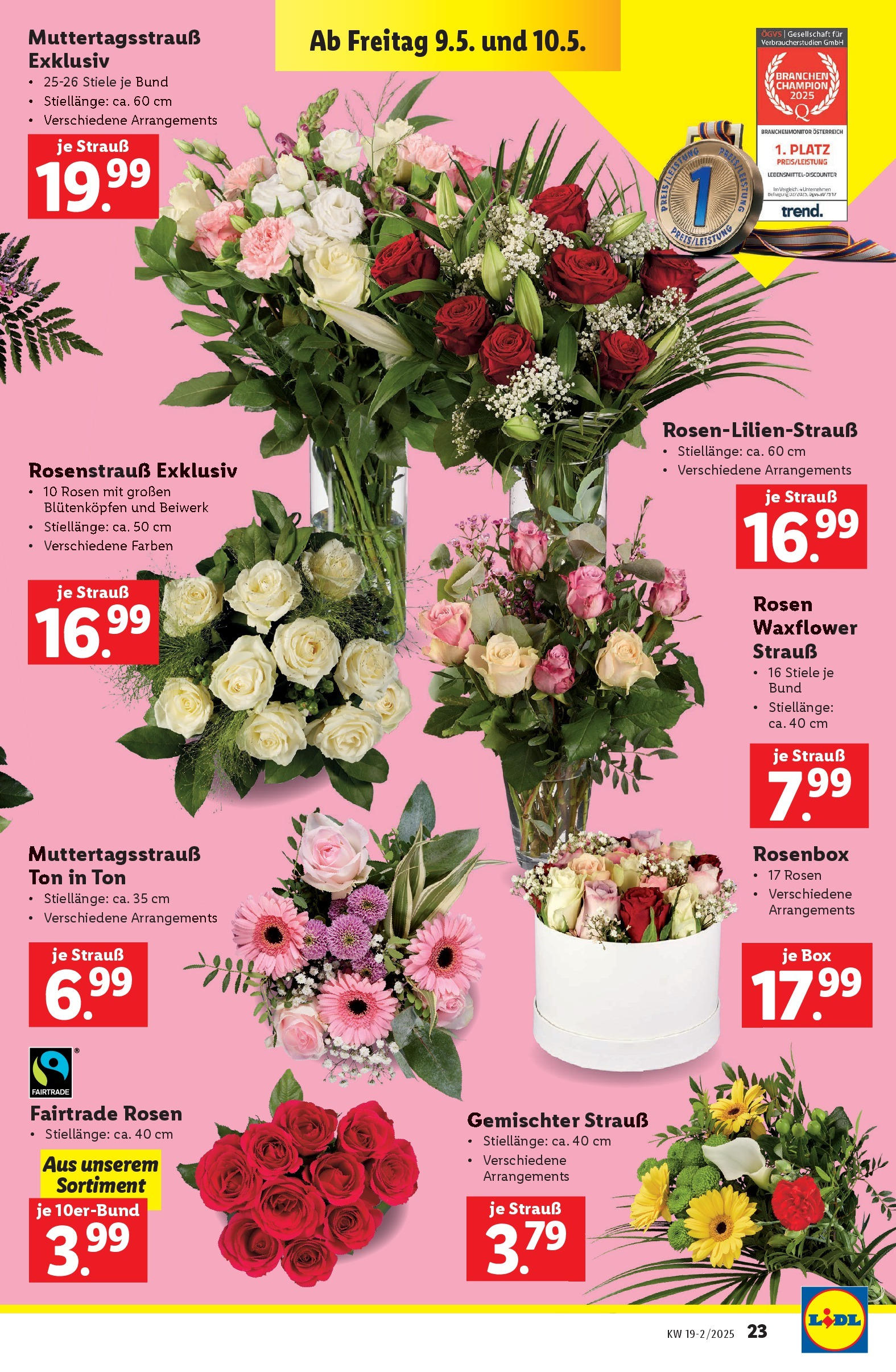 Lidl - Lidl: Flugblatt in deiner Nähe ab 07.05.2025 ✳️ Angebote ab donnerstag | Seite: 25 | Produkte: Box Lidl - Lidl: Flugblatt in deiner Nähe ab 07.05.2025 - Angebote ab donnerstag | Seite: 25 | Produkte: Box