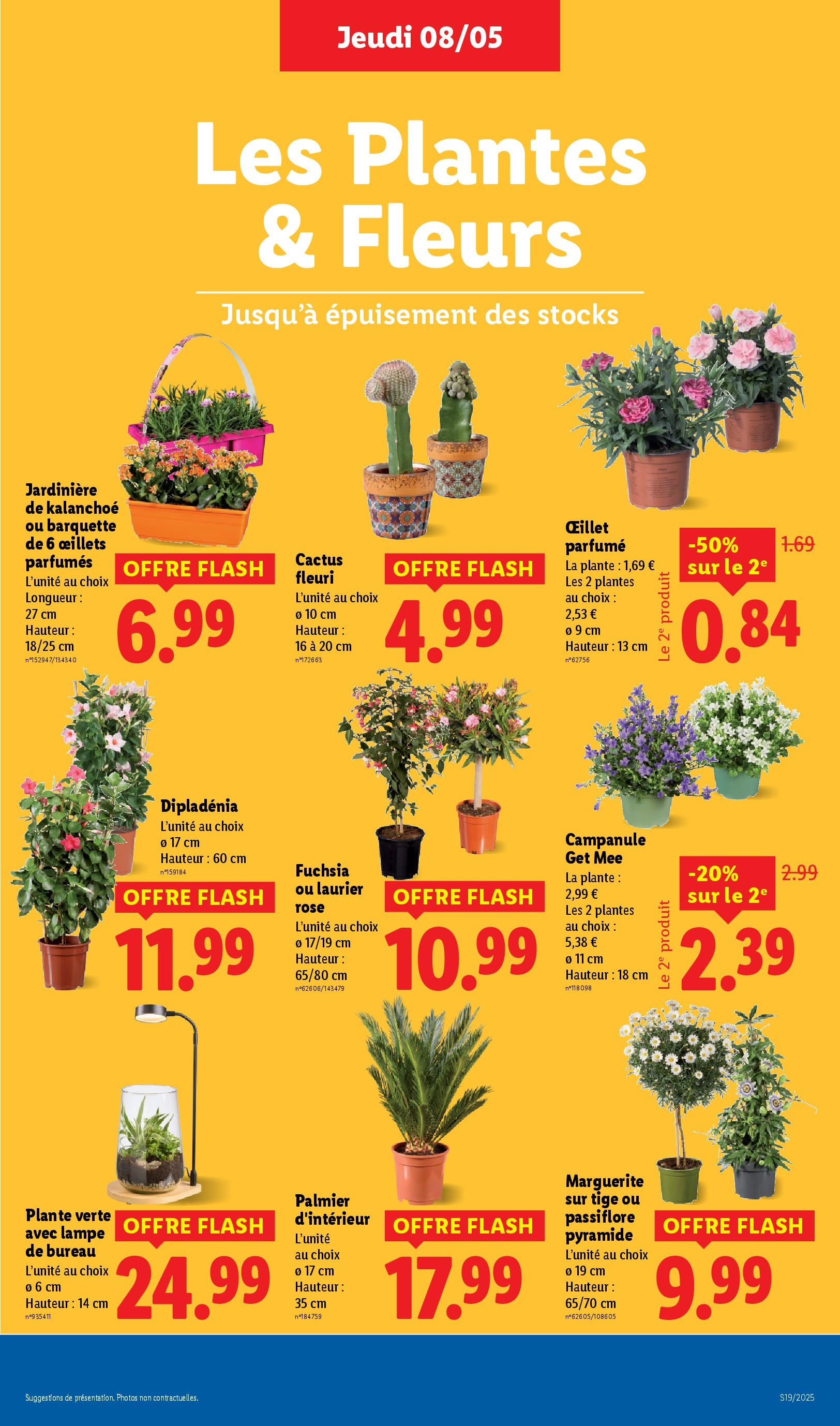 Catalogue LIDL du 07/05/2025 | Promo prospectus en ligne | Page: 33 | Produits: Laurier Rose, Dipladénia, Oeillet parfumé, Lampe Catalogue LIDL du 07/05/2025 | Promo prospectus en ligne | Page: 33 | Produits: Laurier Rose, Dipladénia, Oeillet parfumé, Lampe