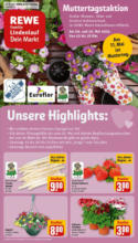 Rewe: Wochenangebote