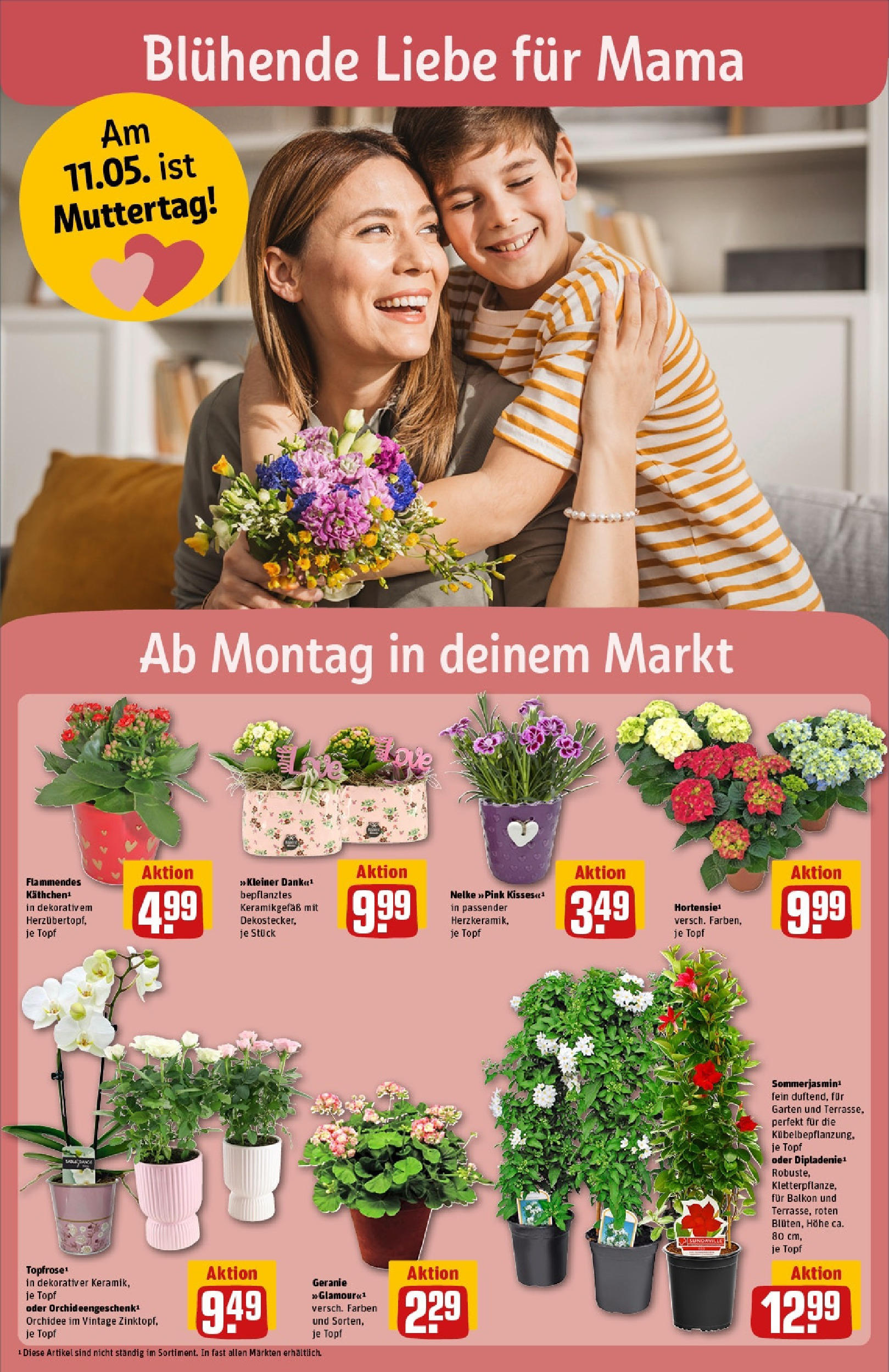 Rewe - Rewe: Wochenangebote (ab 04.05.2025) zum Blättern » Angebote | Seite: 6 | Produkte: Top, Orchidee Rewe - Rewe: Wochenangebote (ab 04.05.2025) zum Blättern » Angebote | Seite: 6 | Produkte: Top, Orchidee