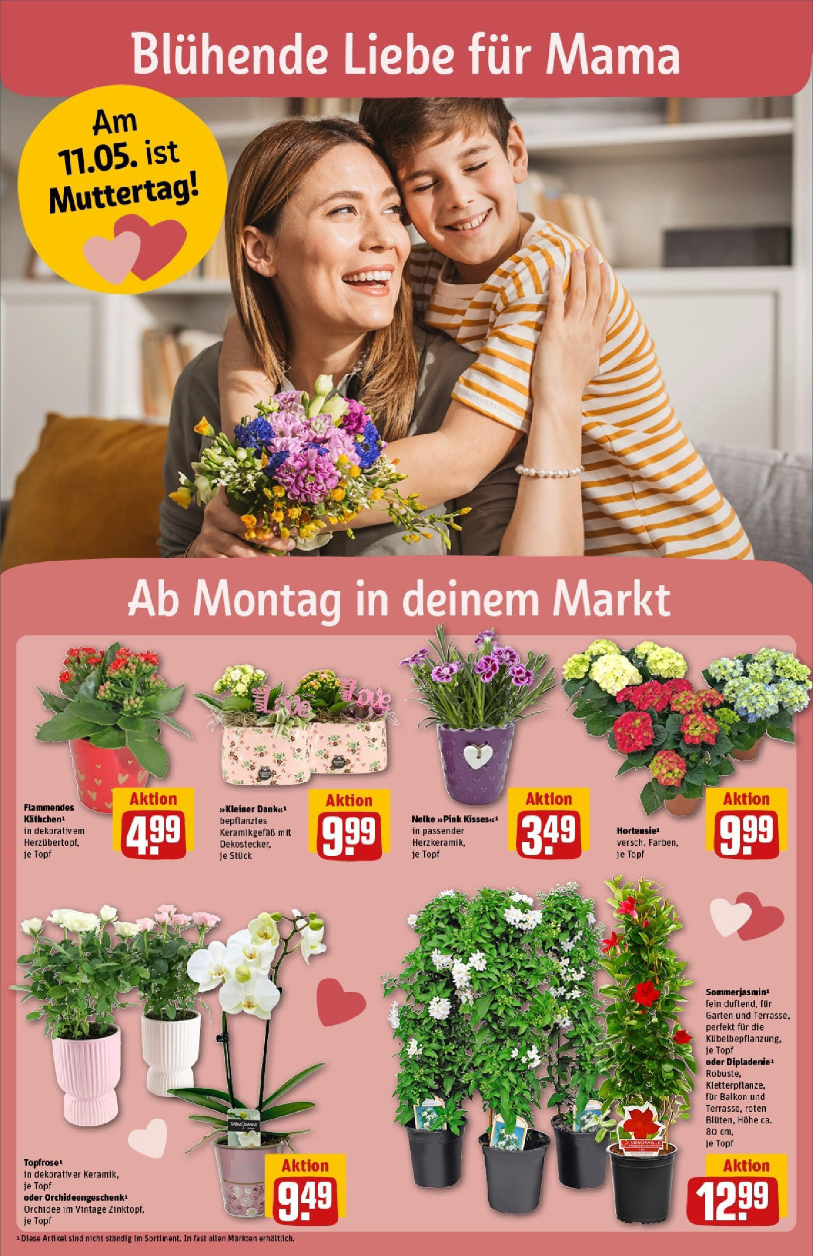 Rewe - Rewe: Wochenangebote (ab 04.05.2025) zum Blättern » Angebote | Seite: 6 | Produkte: Orchidee Rewe - Rewe: Wochenangebote (ab 04.05.2025) zum Blättern » Angebote | Seite: 6 | Produkte: Orchidee