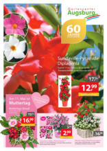 Gartencenter Augsburg: Wochenangebote