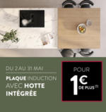Cuisine Plus usqu'au 31 mai, profitez d'une plaque à induction avec hotte intégrée pour 1€ de plus - au 31.05.2025