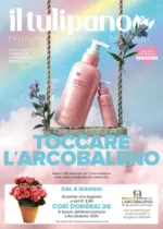 Il Tulipano Insieme fino a Toccare l'Arcobaleno - al 28.05.2025