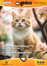 Giulius Maggio - Giugno 2025 - al 30.06.2025