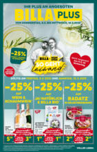 BILLA PLUS: Flugblatt Niederösterreich
