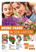 OBI OBI: Bring Farbe in den Garten - bis 25.05.2025