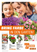 OBI: Bring Farbe in den Garten