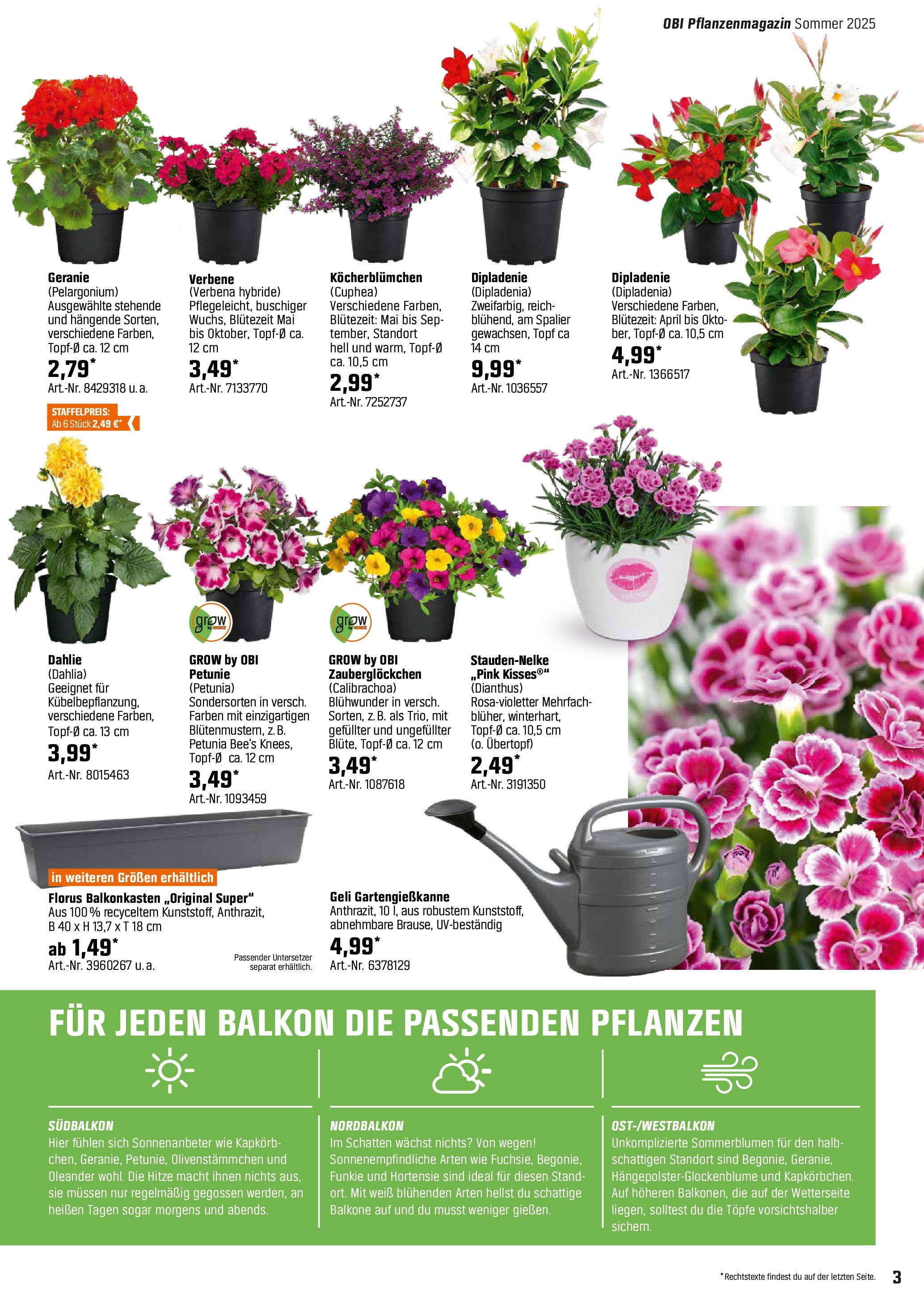 Obi - Bring Farbe in den Garten! (ab 05.05.2025) zum Blättern | Seite: 3 | Produkte: Hortensie, Box