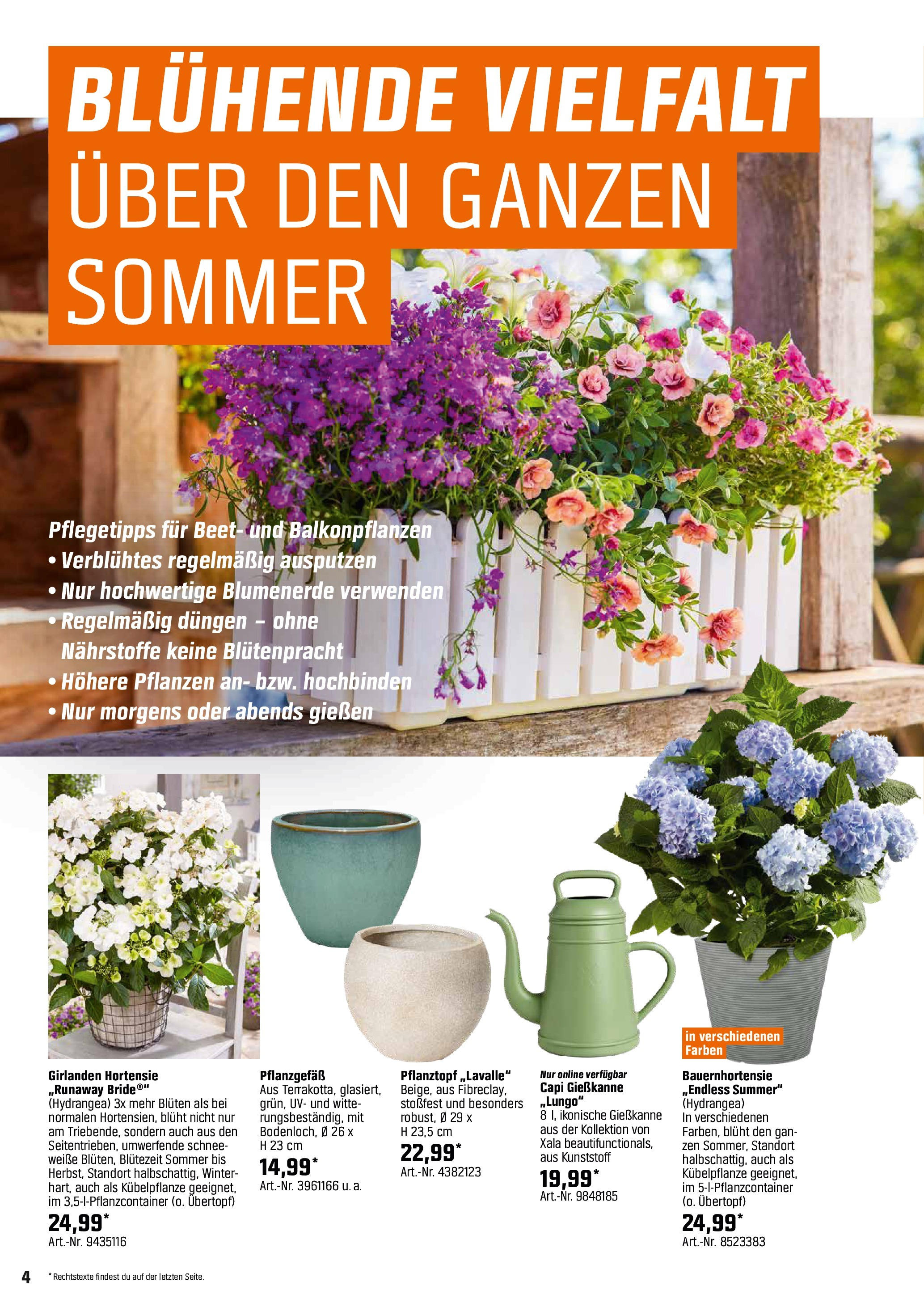 Obi - Bring Farbe in den Garten! (ab 05.05.2025) zum Blättern | Seite: 4 | Produkte: Hortensie, Blumenerde