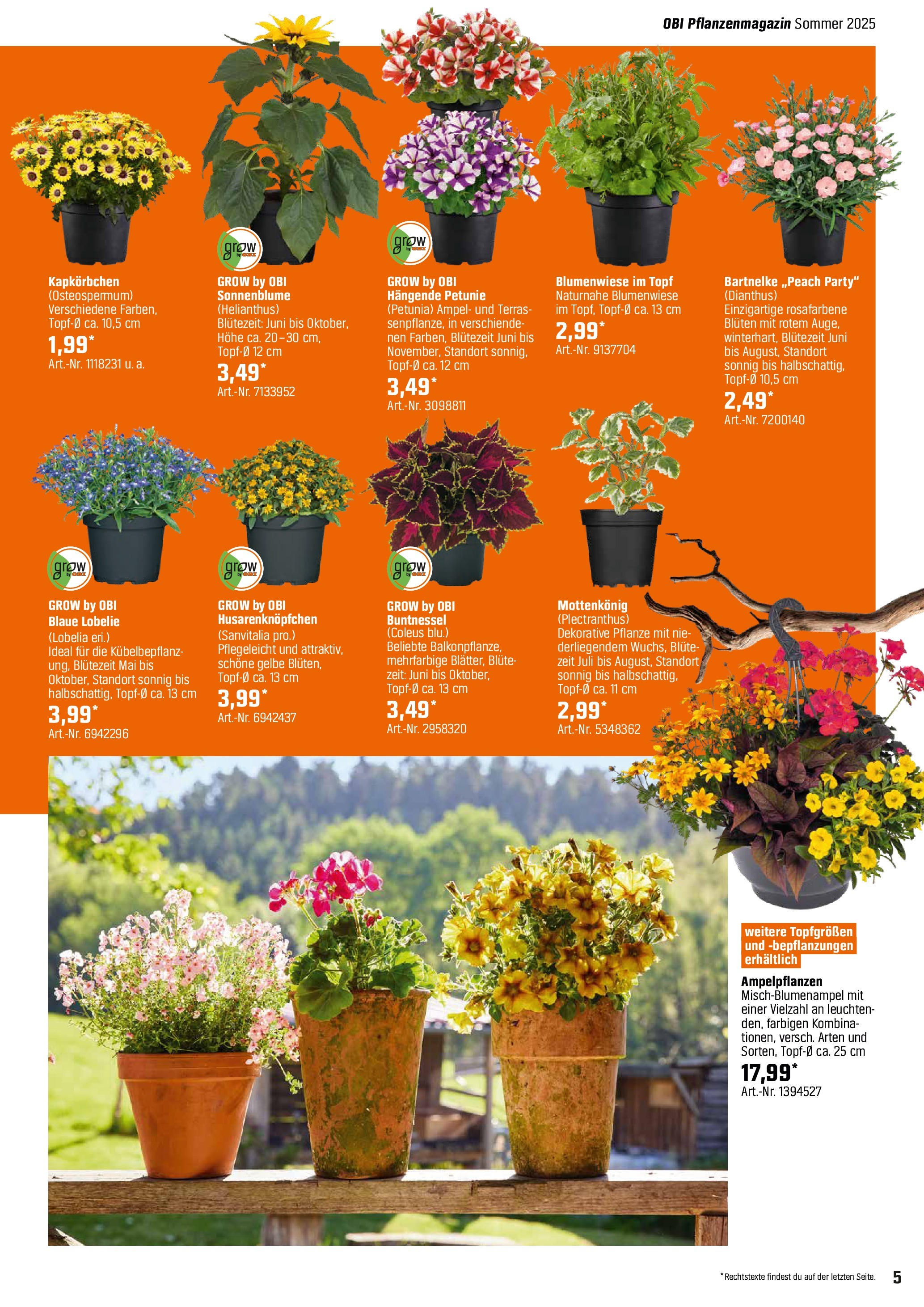 Obi - Bring Farbe in den Garten! (ab 05.05.2025) zum Blättern | Seite: 5